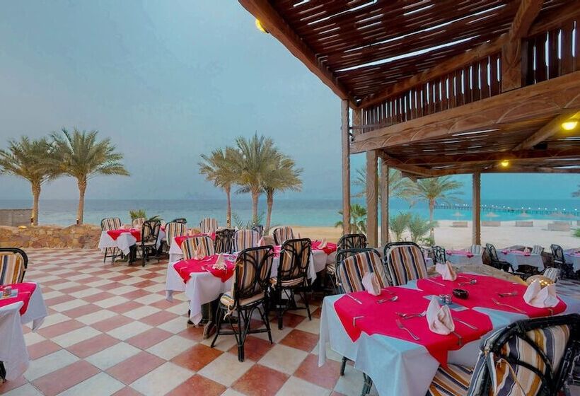 Wadi Lahmy Azur Resort   Soft All Inclusive