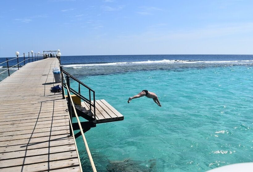 Wadi Lahmy Azur Resort   Soft All Inclusive