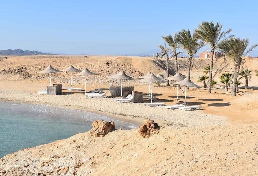 Wadi Lahmy Azur Resort   Soft All Inclusive