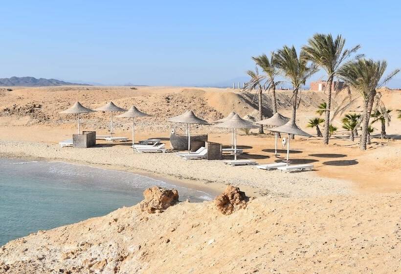 هتل Wadi Lahmy Azur Resort   Soft All Inclusive