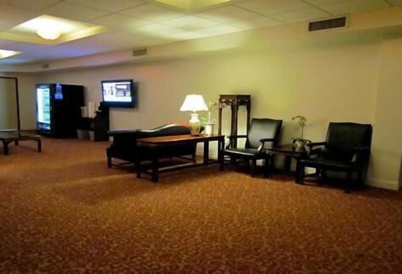 Fotos del hotel 91:  10