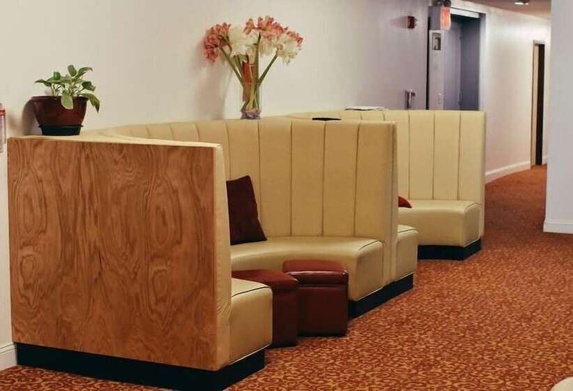 Fotos del hotel 91:  13