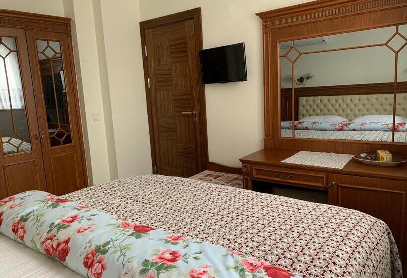 Fotos del hotel Ada Hotel Istanbul:  3