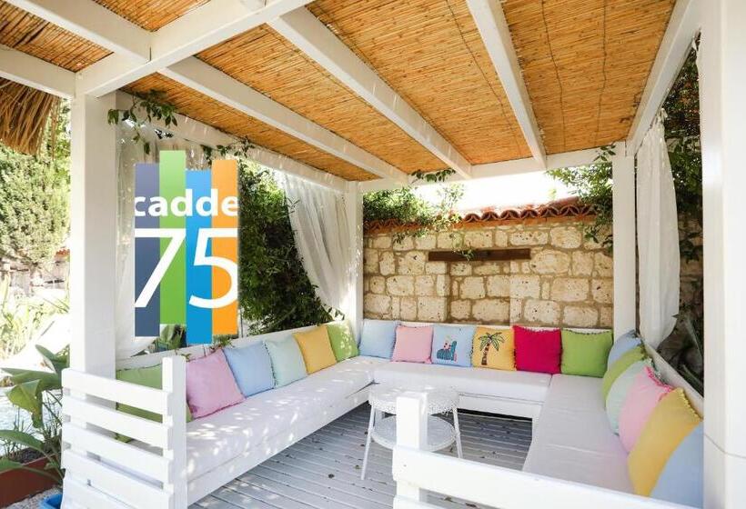 בית מלון כפרי Cadde 75