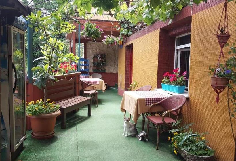 Fotos del hotel Anadolu:  29