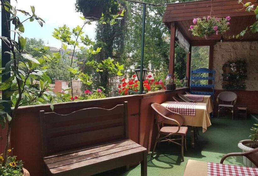 Fotos del hotel Anadolu:  26