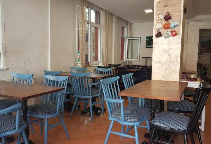 Fotos del hotel Anadolu:  47