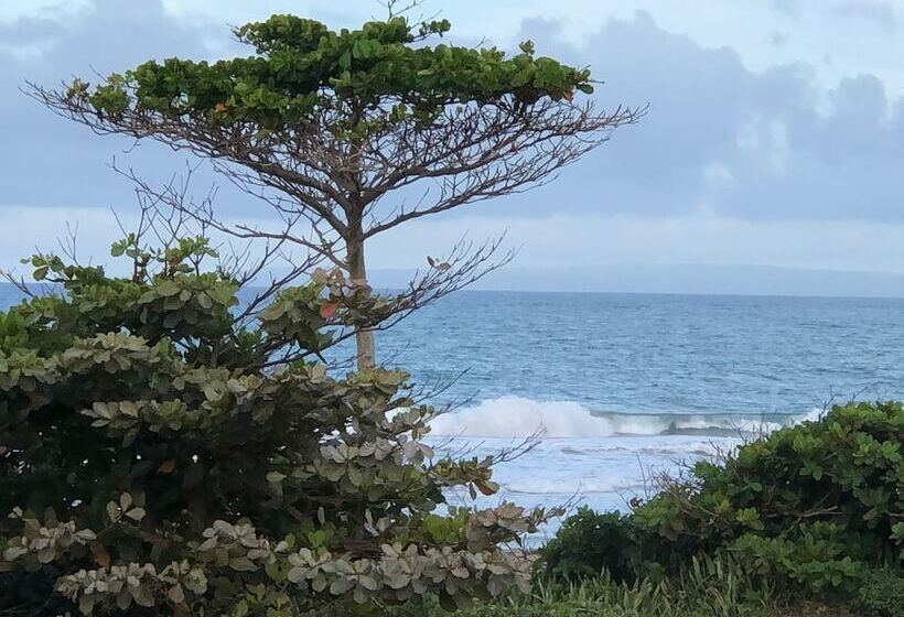 هتل Barefoot Beach Pad