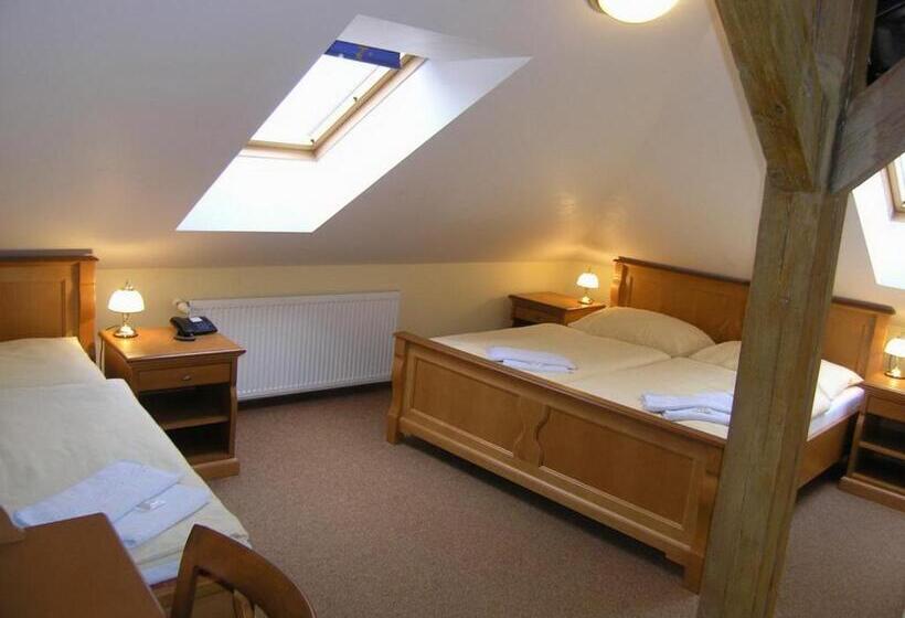 Fotos del hotel Brezina Pension:  28