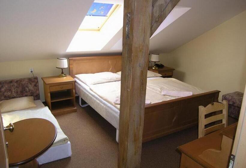 Fotos del hotel Brezina Pension:  38