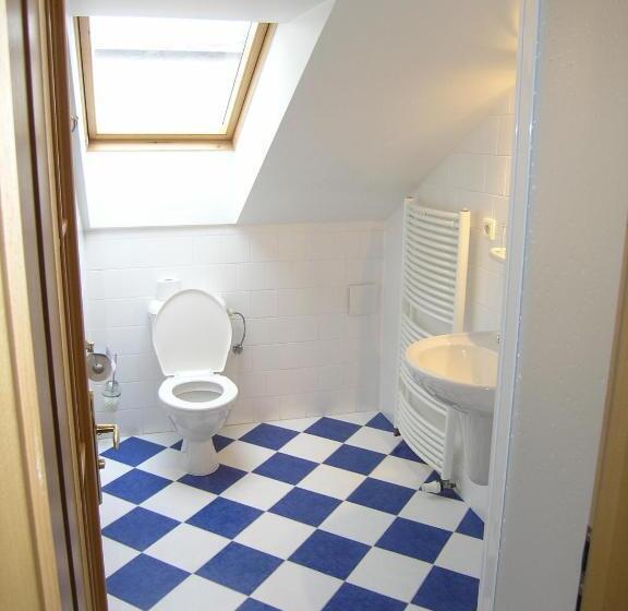 Fotos del hotel Brezina Pension:  35