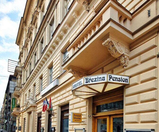 Fotos del hotel Brezina Pension:  30