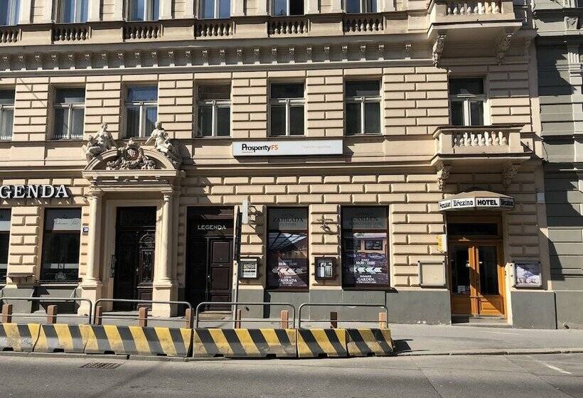 Fotos del hotel Brezina Pension:  39