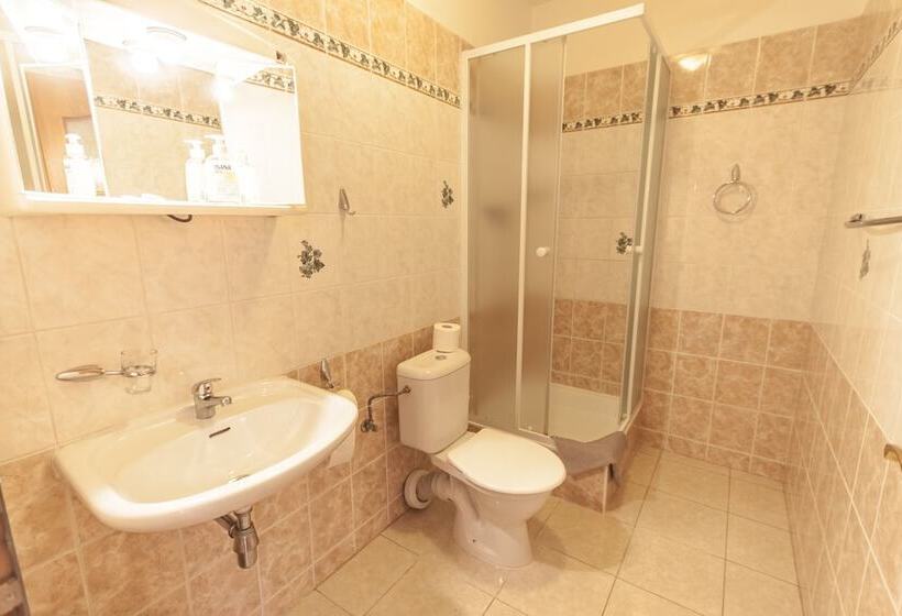 Fotos del hotel Brezina Pension:  22