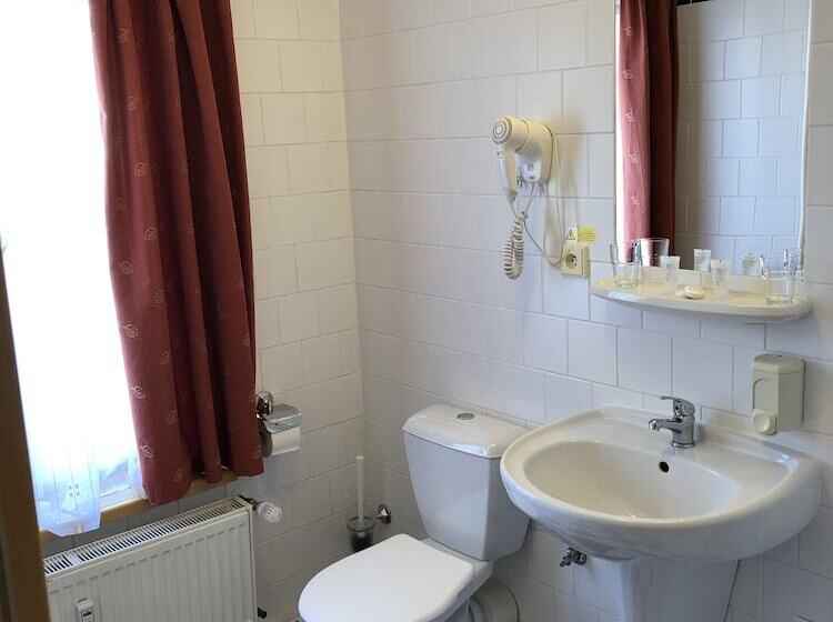 Fotos del hotel Brezina Pension:  40