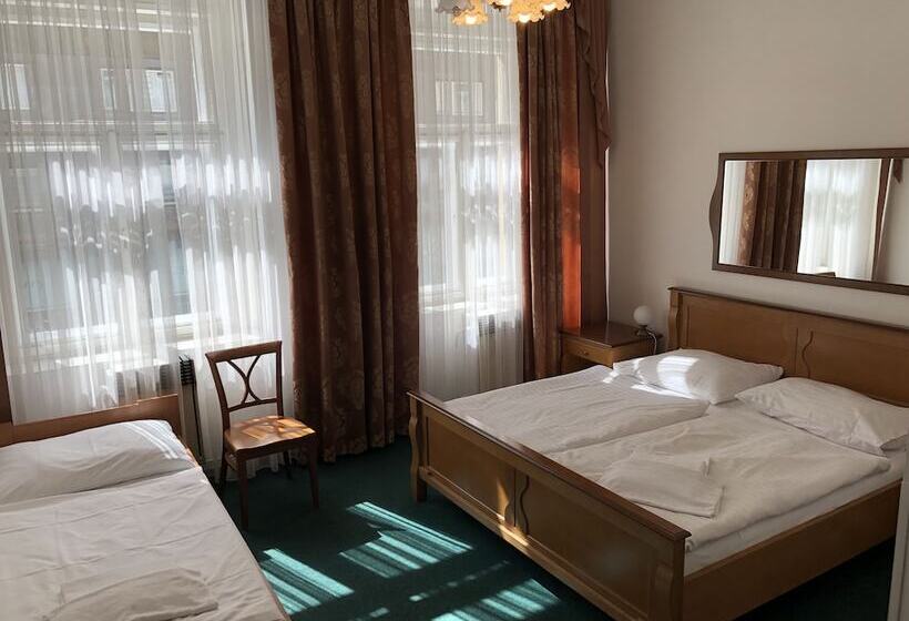 Fotos del hotel Brezina Pension:  43