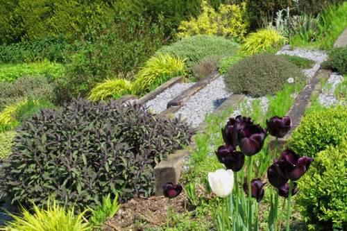 ホテル Broadhayes