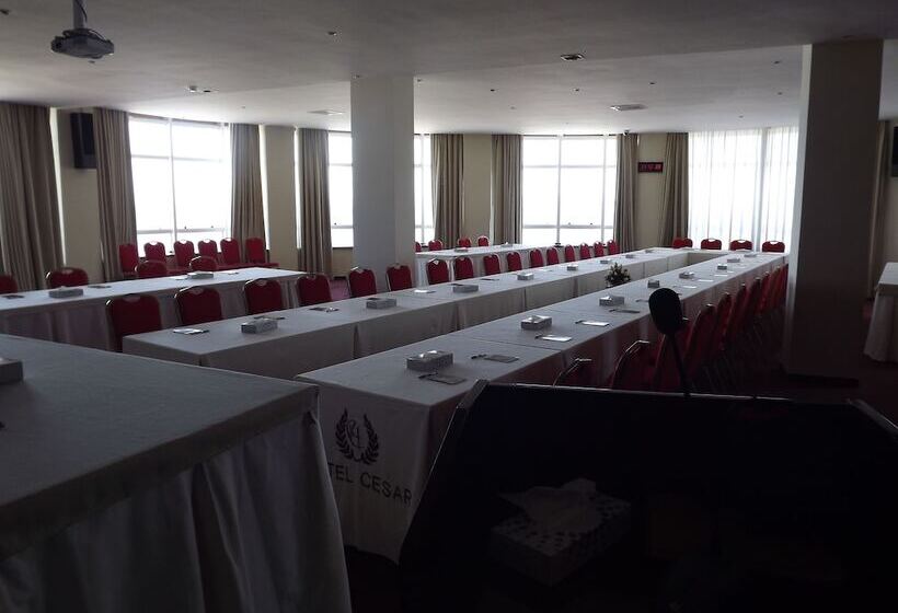 Fotos del hotel Cesar  & Spa:  17