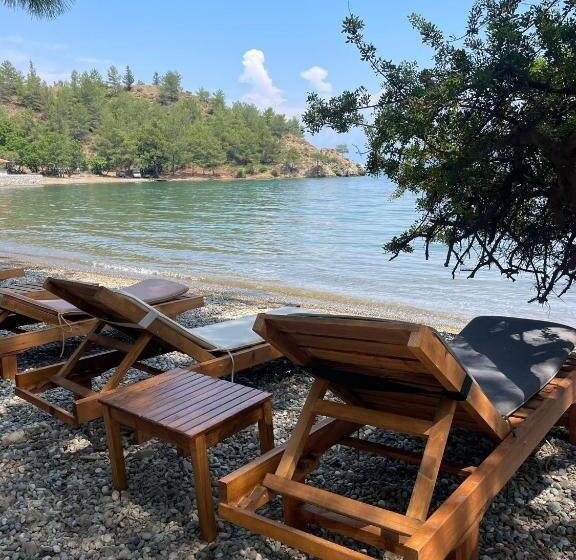 هتل Dalya Life
