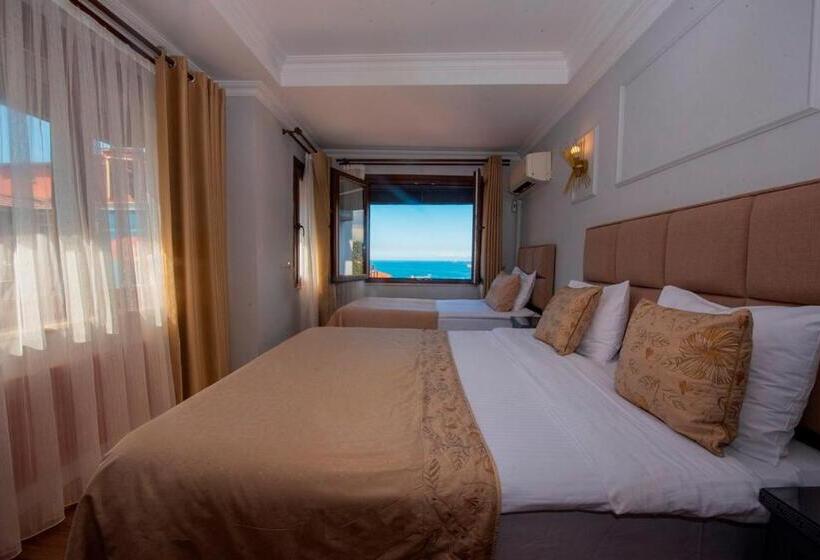 Fotos del hotel Daphne:  21