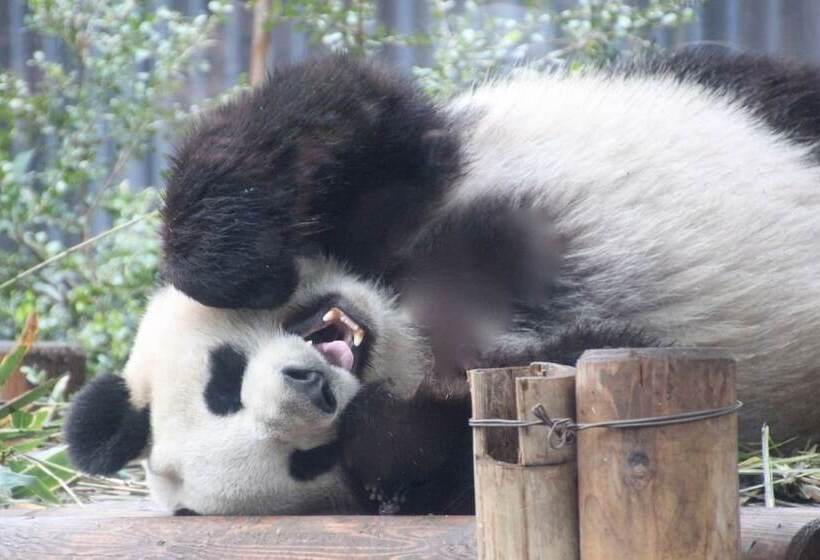 Fotos del hotel Day Nice  Tokyo:  25