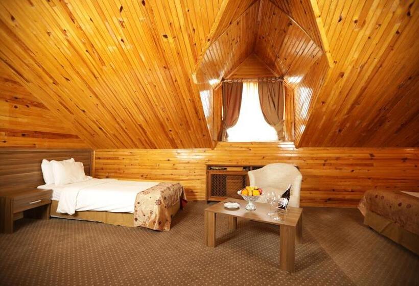 هتل Dedeman Palandoken Resort