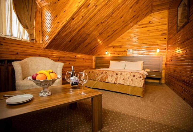 هتل Dedeman Palandoken Resort