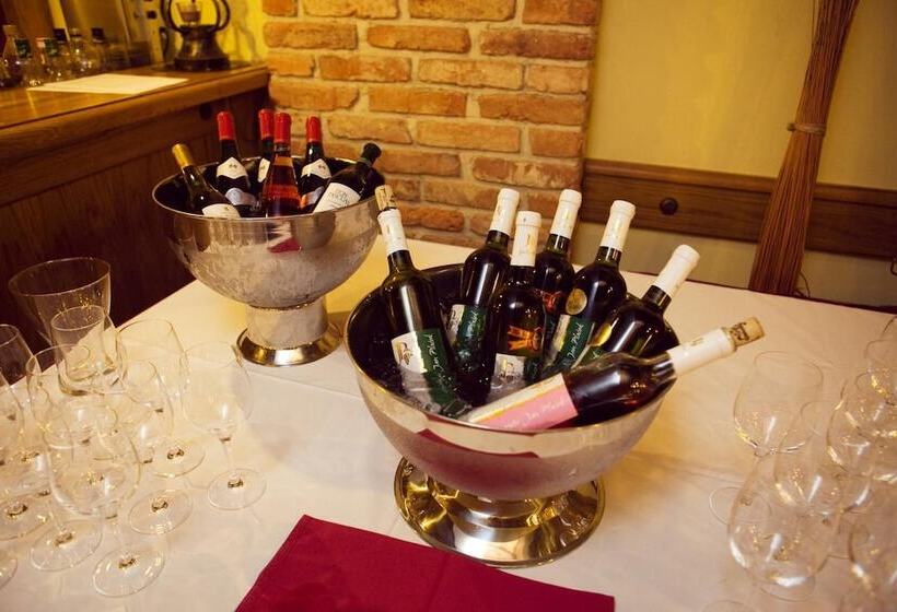 Fotos del hotel Dolce Villa:  10