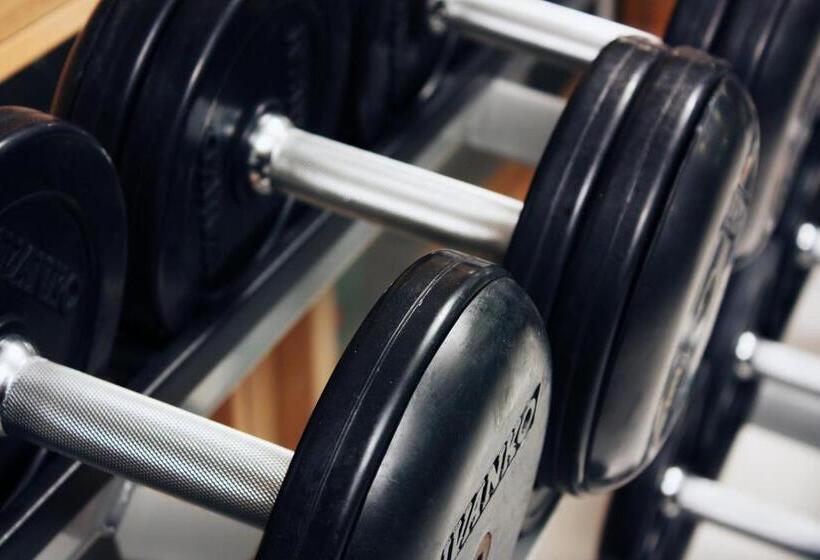 Fotos del hotel Dream Hill Business Deluxe Hotel Asia:  44