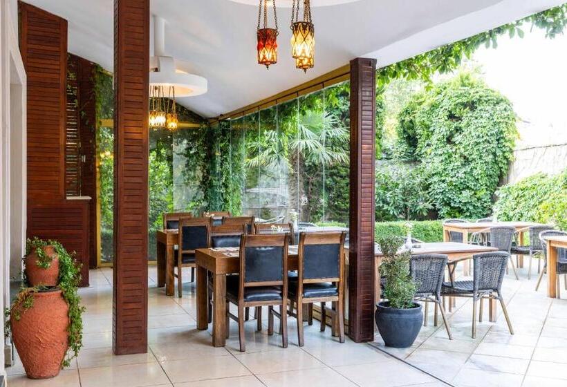 Fotos del hotel Elite Hotel Dragos:  23