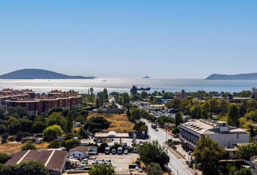 Fotos del hotel Elite Hotel Dragos:  20