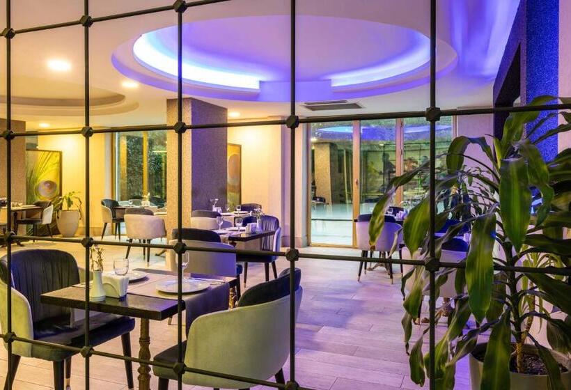 Fotos del hotel Elite Hotel Dragos:  21