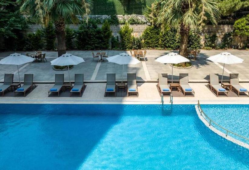 Fotos del hotel Elite Hotel Dragos:  12