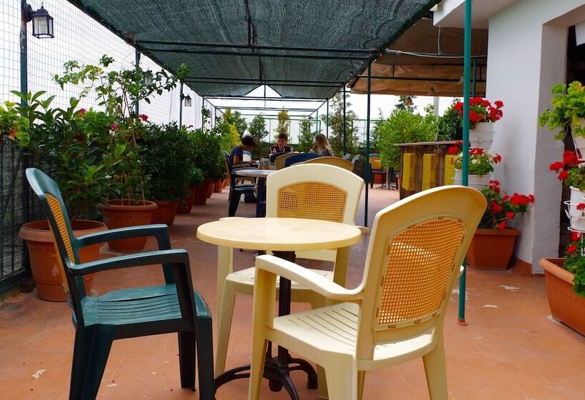 Fotos del hotel Exarchion:  52