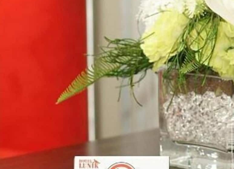 Fotos del hotel Lunik:  2