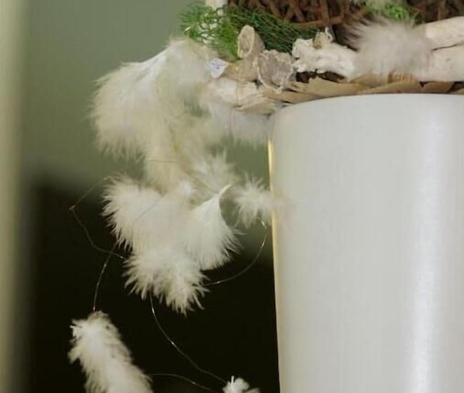 Fotos del hotel Lunik:  6