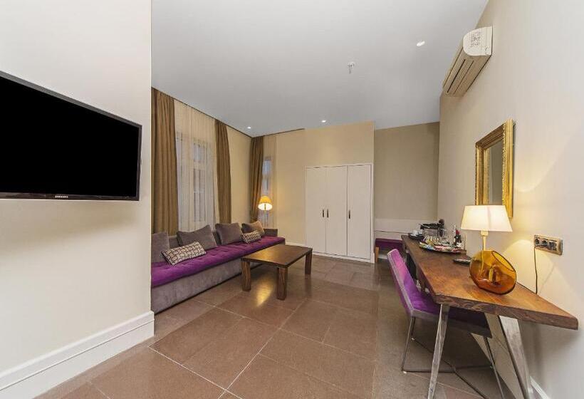 Fotos del hotel Misafir Suites 8 Istanbul:  23