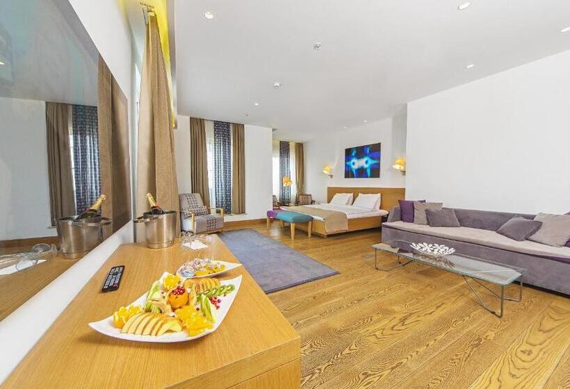 Fotos del hotel Misafir Suites 8 Istanbul:  5