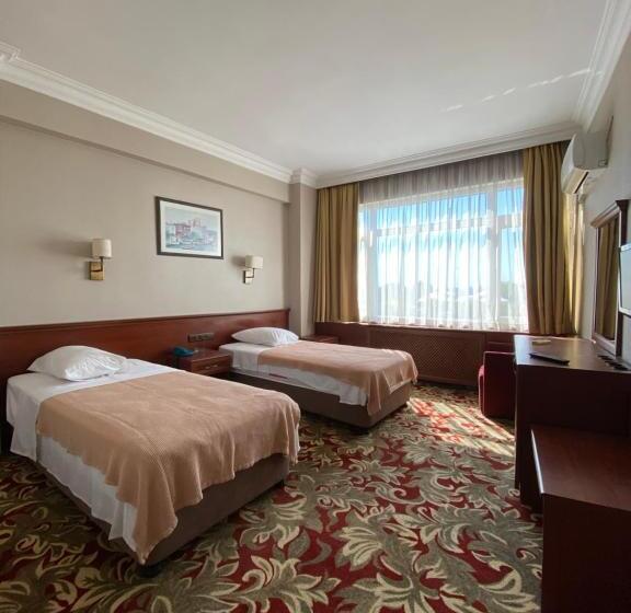 Fotos del hotel Monopol:  4