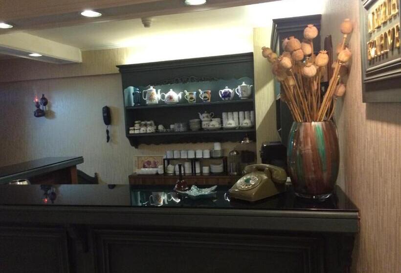 Fotos del hotel Nezih Istanbul:  23