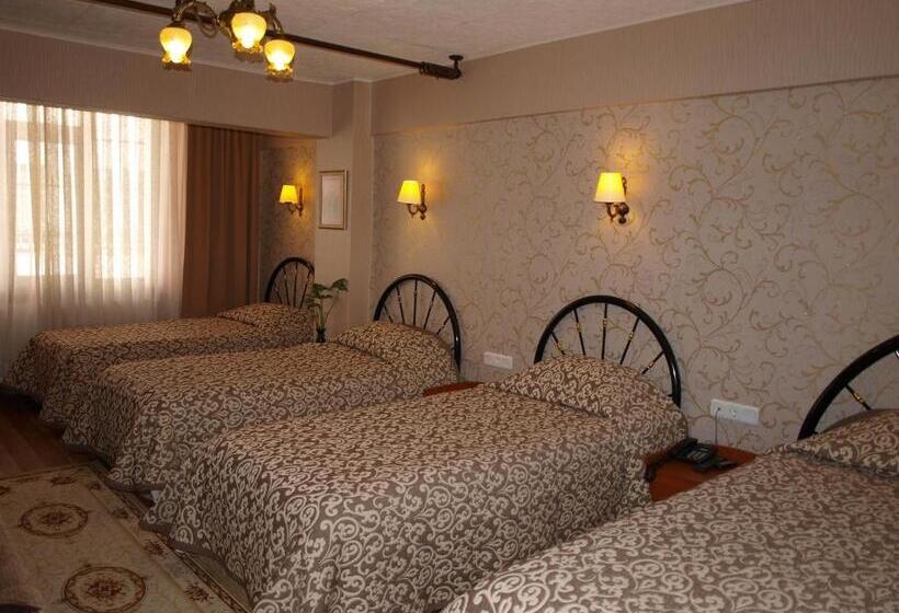 Fotos del hotel Nezih Istanbul:  11