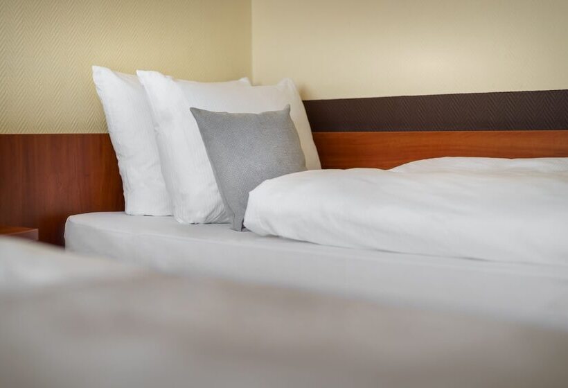 酒店 Novum Kronprinz Hamburg Hauptbahnhof