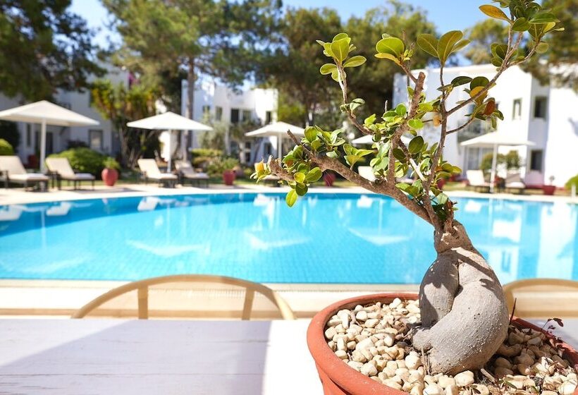 בית מלון כפרי Princess Artemisia