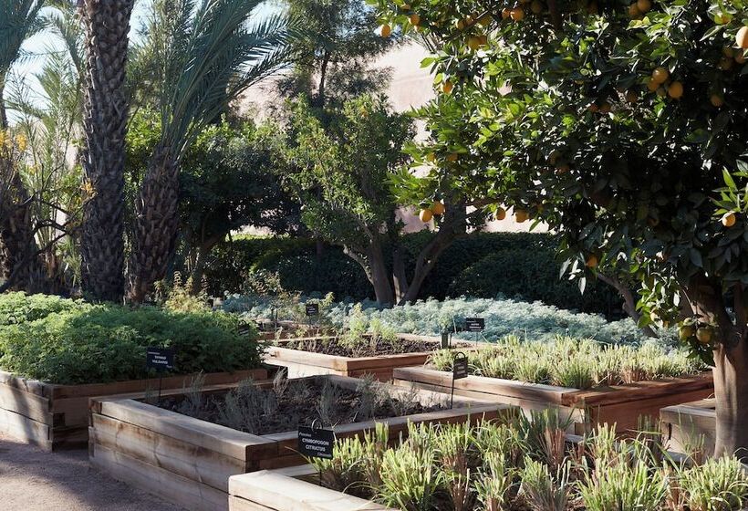 Fotos del hotel Royal Mansour Marrakech:  18