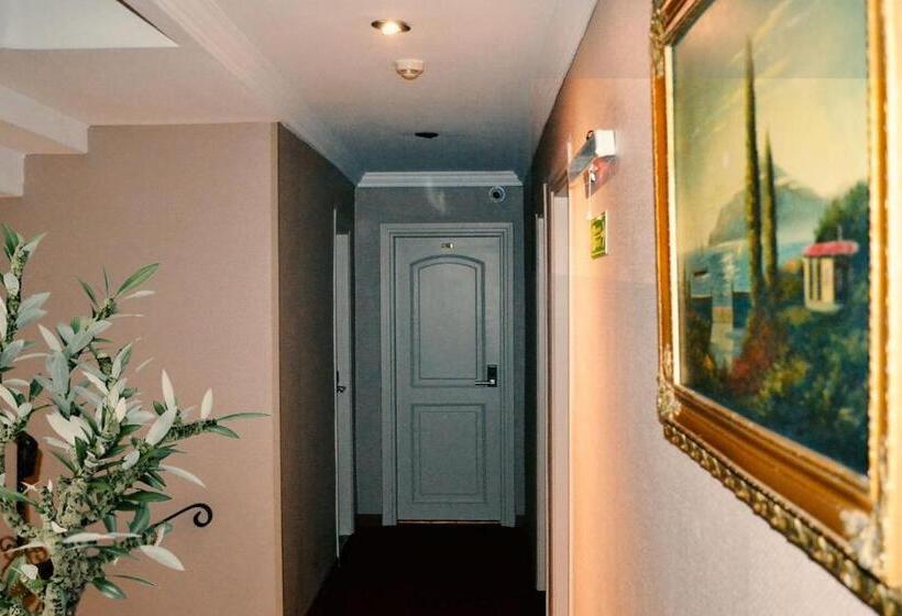 Fotos del hotel Sembol:  34