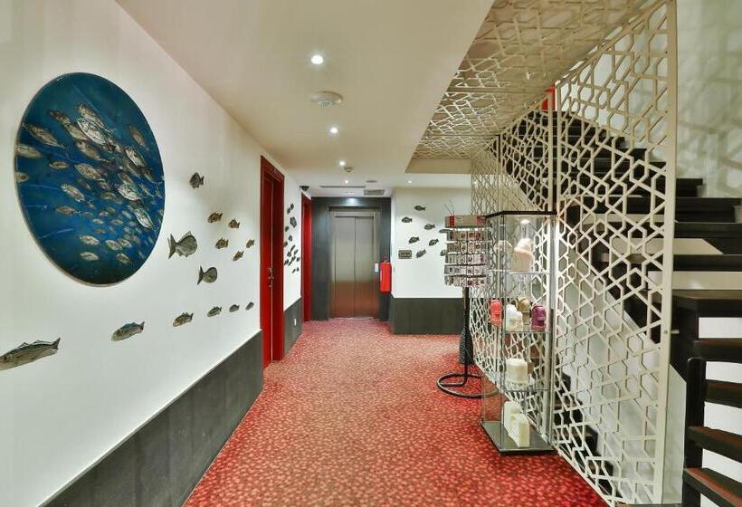 Fotos del hotel Senatus   Special Class:  14