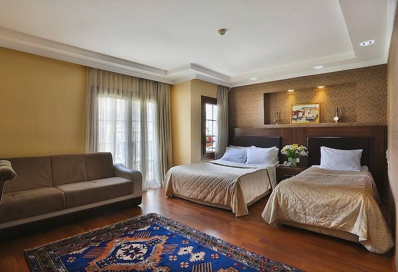 Fotos del hotel The Istanbul Hotel:  2
