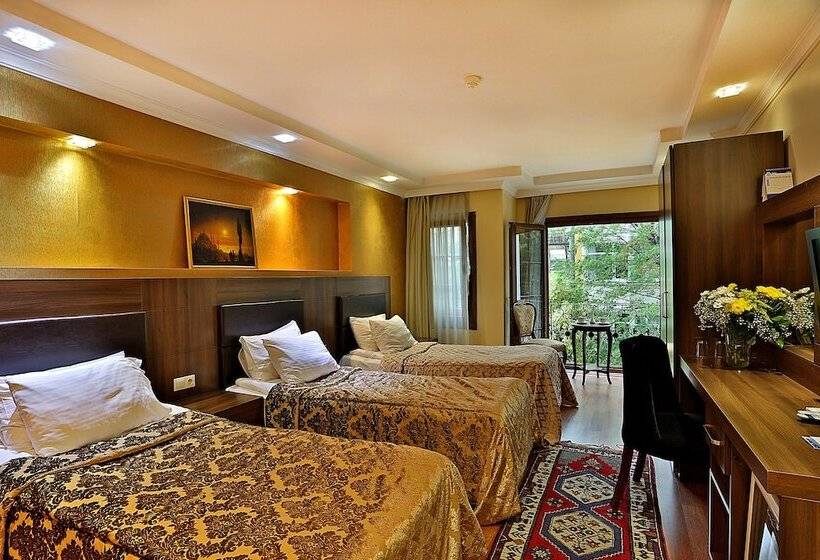 Fotos del hotel The Istanbul Hotel:  4