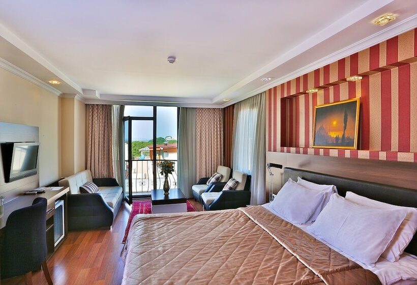Fotos del hotel The Istanbul Hotel:  5