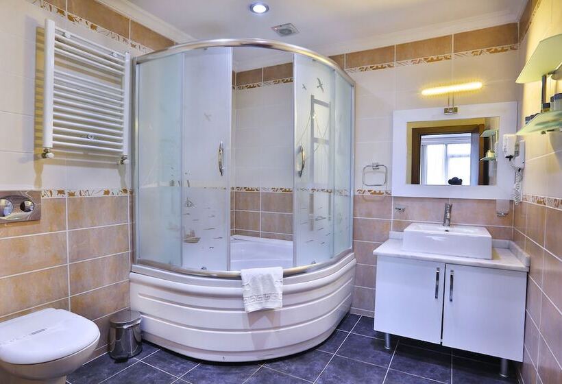 Fotos del hotel The Istanbul Hotel:  17